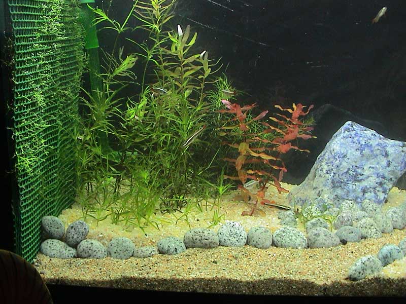 04-12-04aquarium08.jpg