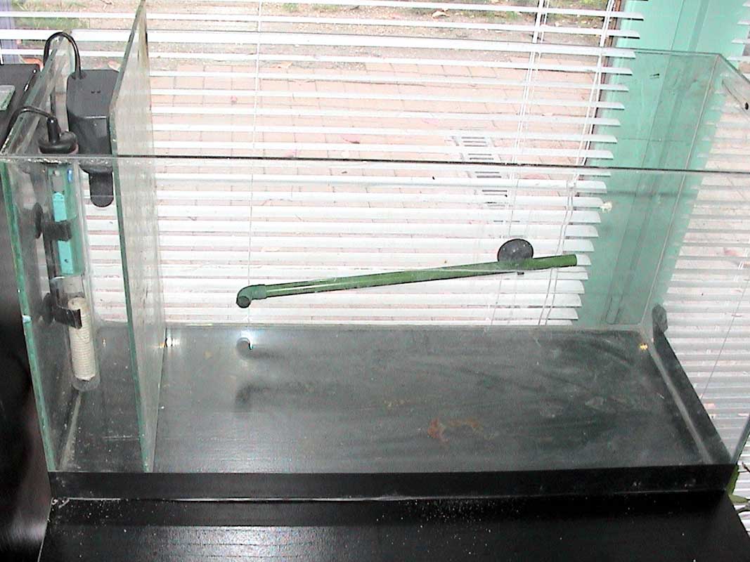 05-11-04aquarium-016.jpg