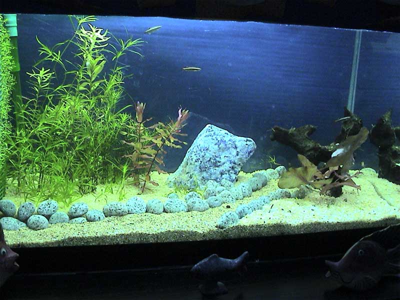 06-12-04aquarium01.jpg