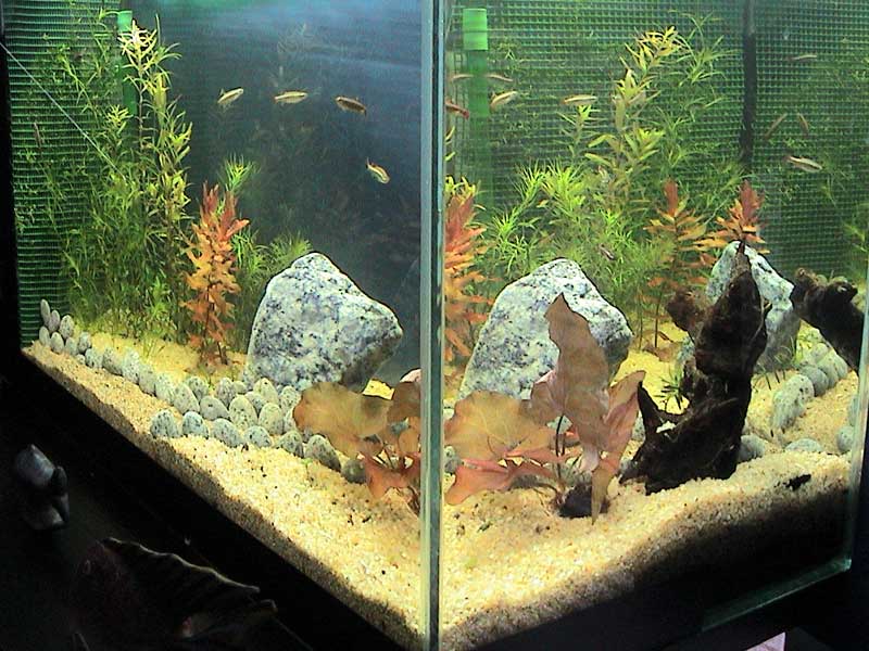 06-12-04aquarium02.jpg