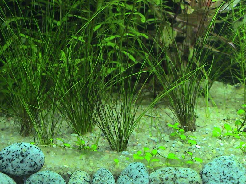 08-01-05aquarium03.jpg