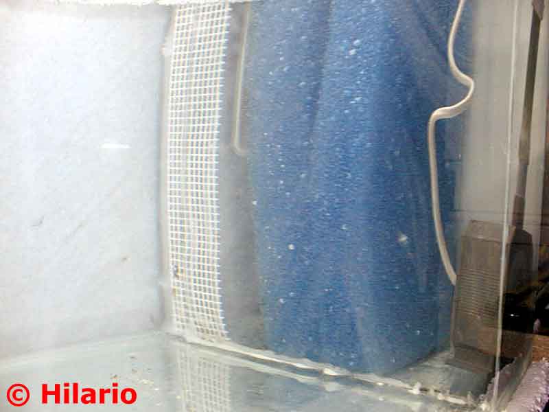 Fishroom