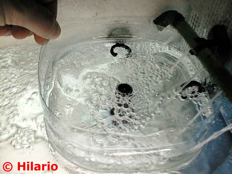 Fishroom
