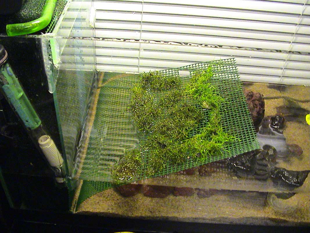 11-11-04aquarium-035.jpg