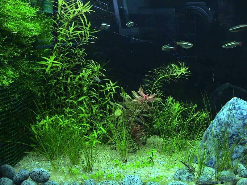 14-01-05aquarium03.jpg