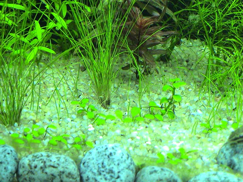 14-01-05aquarium10.jpg