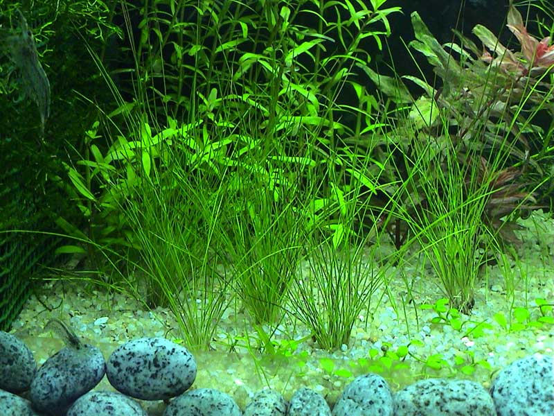 14-01-05aquarium12.jpg