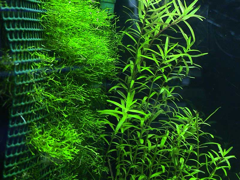 14-01-05aquarium13.jpg