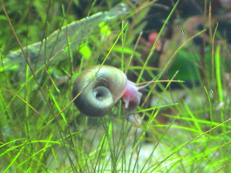 15-02-05aquarium-006.jpg