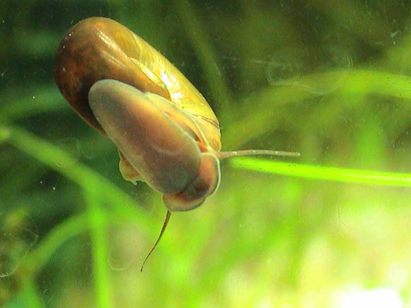 15-02-05aquarium-009.jpg