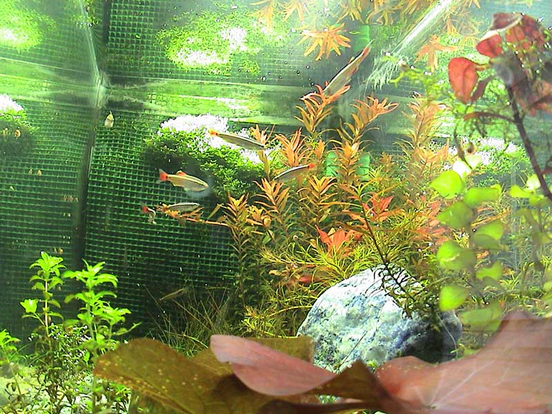 15-02-05aquarium-024.jpg