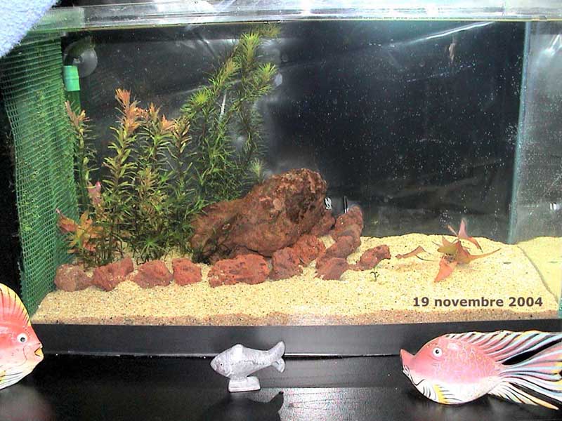 19-11-04aquarium-032.jpg