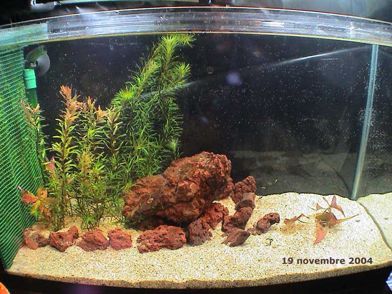 19-11-04aquarium-036.jpg
