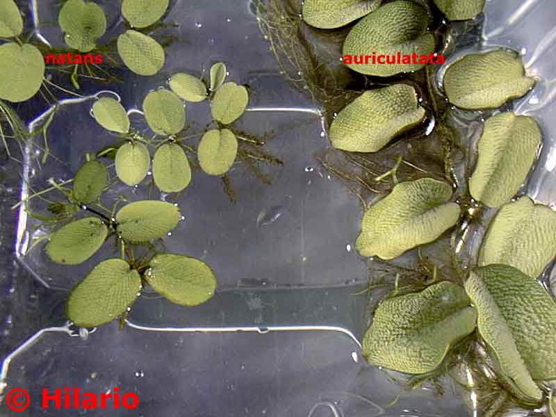20_03aquarium03.jpg