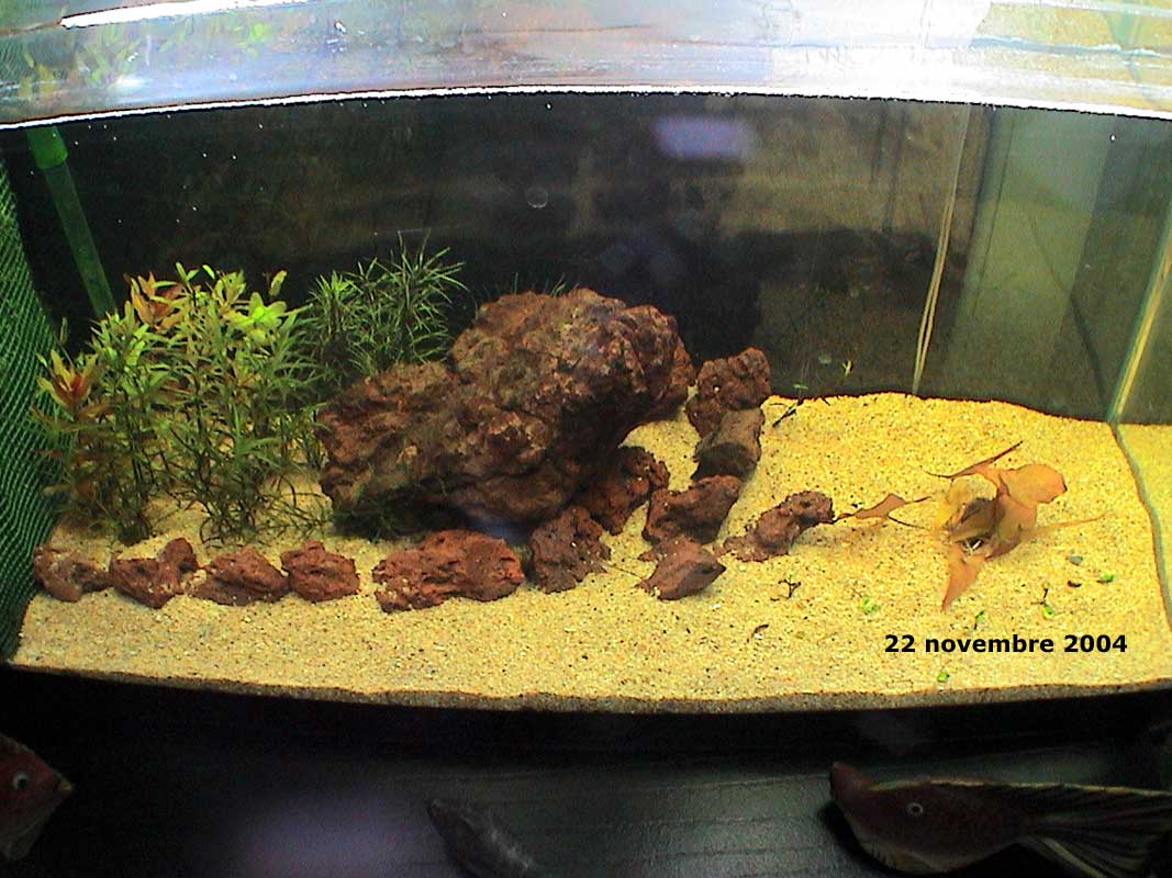 22-11-04aquarium-002.jpg