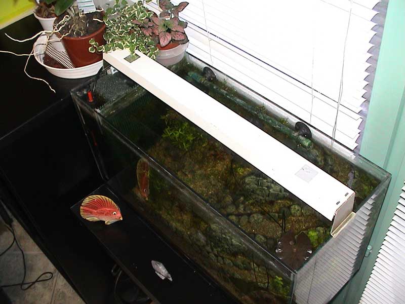 27-01-05aquarium05.jpg