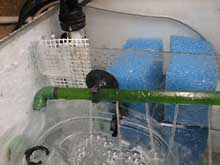 Fishroom