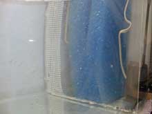 Fishroom