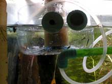 Fishroom