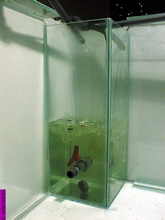 aquarium