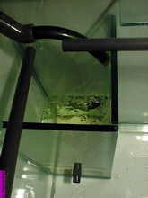 aquarium