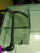 aquarium