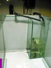 aquarium
