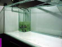 aquarium