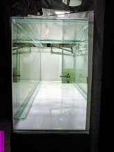 aquarium