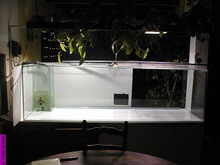 aquarium